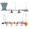 Línea de Alimentación de Pollos Personalizada por el Fabricante, Línea de Alimentación para Patos de Corral Plano y de Libre Pastoreo, Línea Automática de Alimentación y Bebedero, Cangzhou Qingshan