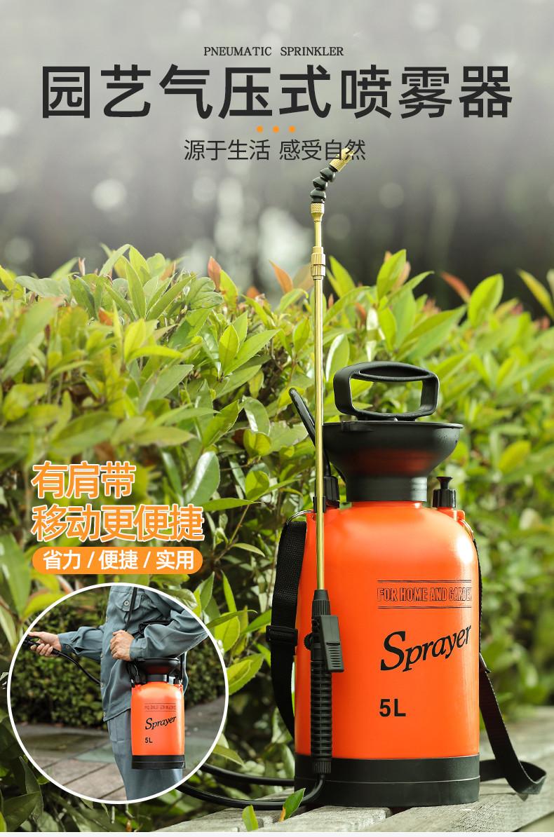 详情-01.jpg
