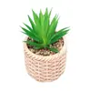 Cachepot de Cerâmica com Suculenta Rattan 10cm x 10cm X 17cm - Wolff