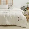 Colcha de soja grado A para madre e hijo, fibra de soja, edredón de invierno grueso, edredón para dormitorio de estudiante, núcleo de edredón, edredón grueso