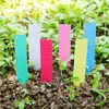 Etiqueta para Jardín Inserto Marca Etiqueta para Flores Inserto Marca Planta Suculenta Orquídea Etiqueta para Plantas