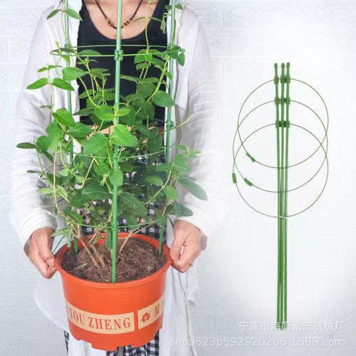 微信图片_20210812155703