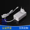 Fuente de Alimentación Conmutada de Pared Certificada CE EAC Rusa 48W Adaptador de Corriente 24V2A Fuente de Alimentación para Purificador