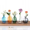 Estilo Escandinavo Vaso de Vidro Criativo Decorações Ornamentais para Sala de Estar Mesa de Café Arranjo de Flores Vaso Seco Garrafa de Vidro Colorida