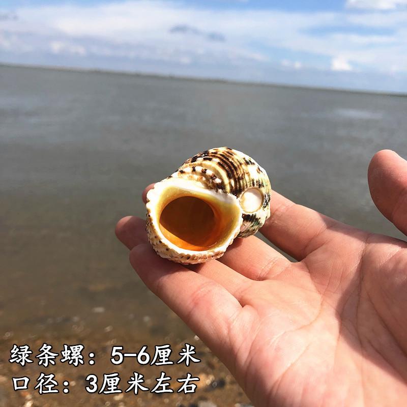 QQ图片20190901111559.jpg