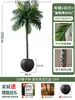 Palmera Areca Artificial Grande de Lujo de Gama Alta, Planta Verde, Árbol Falso, Planta de Bambú Cola de Fénix para Decoración de Paisajismo Tropical de Interiores