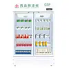 Gabinete Refrigerador de Medicamentos Certificado GSP de una Puerta Doble Puerta Refrigerador Vertical para Farmacia Hospital Clínica Centro de Salud