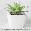 Suculentas Simuladas Personalizadas Cerámica Bonsái Plantas Verdes Escandinavas Adornos Hogar Interior Sala de Estar Flores Falsas Suculentas Plantas en Maceta