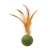 Juguete para gatos bola de hierba gatera pluma juguete masticable para autoentretenimiento y alivio del aburrimiento bola de hierba para gatos palo teaser para gatos