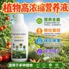 Solução Nutritiva para Plantas Altamente Concentrada Tipo Universal Doméstico para Cultivar Flores e Plantas Verdes Rega Hidropônica Plantas Verdes Adubo Árvore do Dinheiro