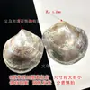 Promoção de vendas diretas da fábrica de novas conchas de borboleta amarela conchas de borboleta preta ornamentos de concha inteira original artesanato decorativo