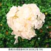 Flor artificial color champaña boda camino flor de seda planta decoración de boda fila de flores decoración flor falsa peonía grande