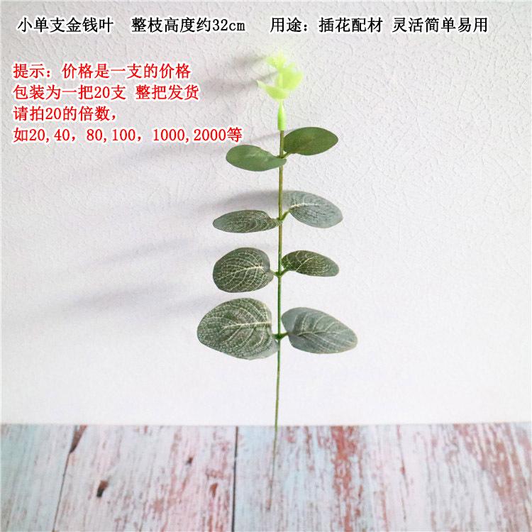 小单支金钱叶 起拍说明.jpg