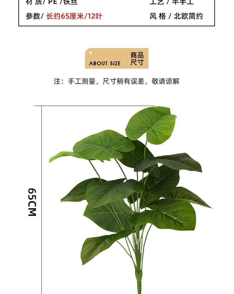 详情_06.jpg