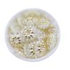 Douramento ABS imitação shell pérola flor de plástico diy artesanal nupcial tiara grampo de cabelo vestido saco acessórios de jóias