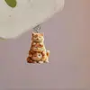 Tapón de Polvo para Teléfono Móvil Popular Acrílico Transfronterizo Tipo Colgante Corazón Perro Gato Taza de Leche Interfaz Ovalada Tipo-C