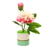 Bonsái artificial de peonía de dos cabezas personalizado adorno creativo para decoración del hogar decoraciones de flores de simulación dropshipping plantas verdes plantas en maceta de simulación