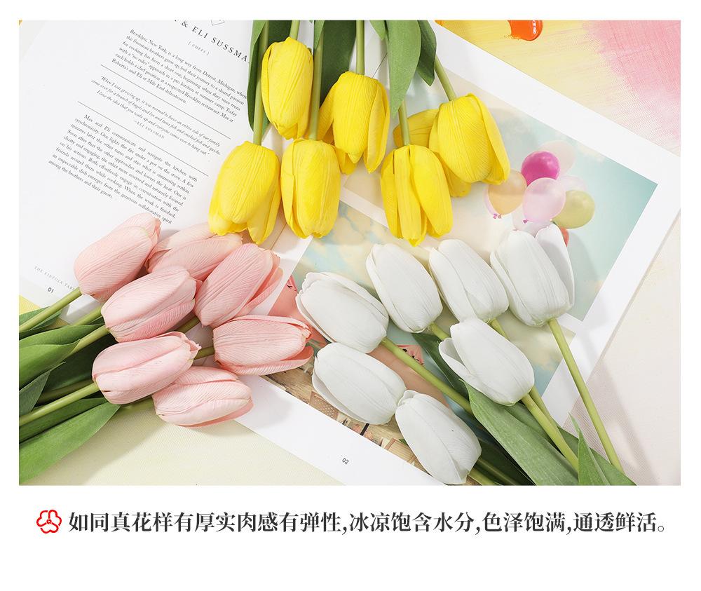 136.单枝拉菲郁金香_12.jpg