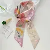 Caixa de Presente Verde de Alta Qualidade, Lenço de Seda Pequeno, Faixa de Cabelo Feminina Versátil de Verão, Streamer Coreano, Gravata para Roupa, Lenço de Seda Longo