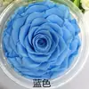 Rosa Eterna Gigante de 10-12 cm Rosa Preservada Flor Eterna Navidad Tanabata Día de San Valentín Regalo de Cumpleaños