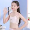 Algodão meninas condole cinto colete pequeno cueca meninas da escola primária período de desenvolvimento crianças grandes produzidas a partir de uma geração de cabelo
