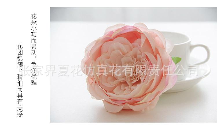 详情图_12.jpg