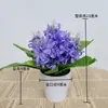 Plantas Suculentas Artificiais Flores Artificiais Fornecimento Direto Decoração de Mesa de Exibição Pequenos Enfeites Suculentas Falsas Bonsai Plantas Verdes Pequenas Plantas em Vasos