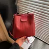 Bolso de cadena retro Primavera/Verano, nueva colección 2026, bolso de mujer moderno y versátil, bolso tipo cubo de moda con patrón tejido