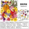 Marcapáginas de flores secas especímenes colección de primavera en botella de película plástica materiales hechos a mano para manualidades estudiantes de primaria flores transparentes