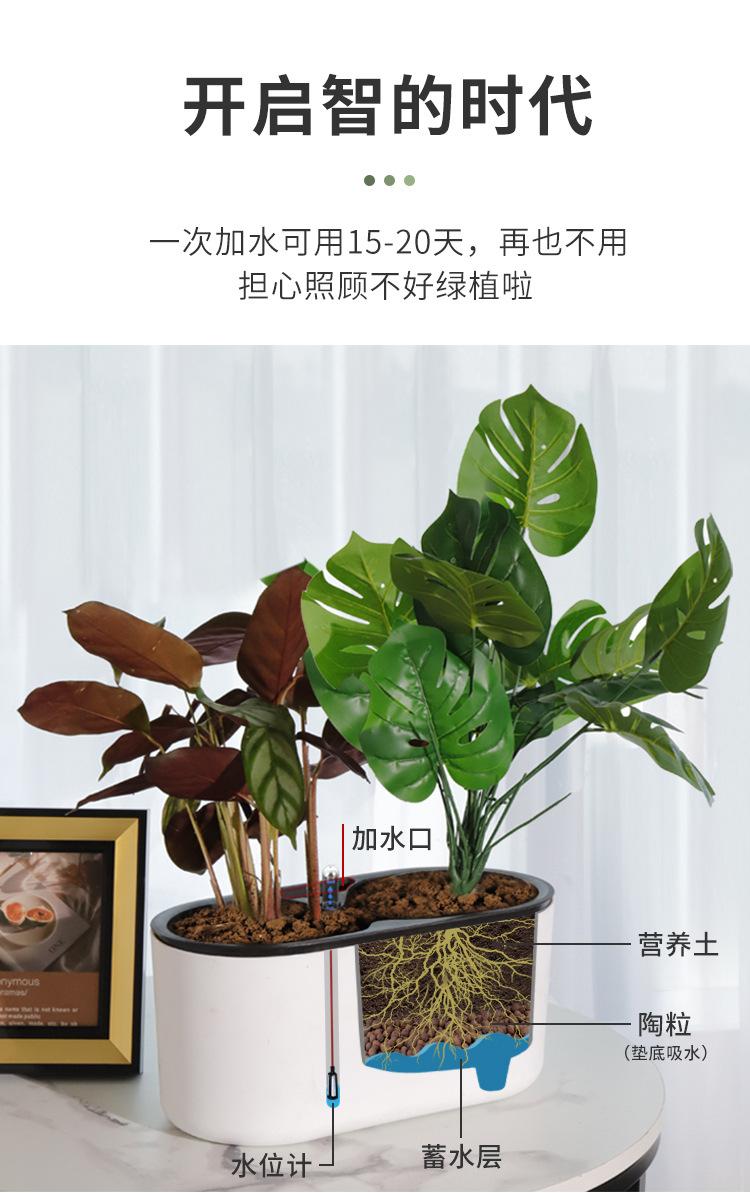 详情页_02.jpg