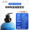 Válvula Manual Runxin Válvula de Control Multivía para Lavado Adelante y Atrás, Tipo Flujo Multimedia Válvula de Control de Tratamiento de Agua Suavizado y Filtración
