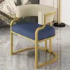 Silla Sofá de Lujo Sencillo para el Hogar Silla de Ocio para Apartamento Pequeño Sala de Estar Sofá Individual Tocador de Dormitorio Silla de Maquillaje