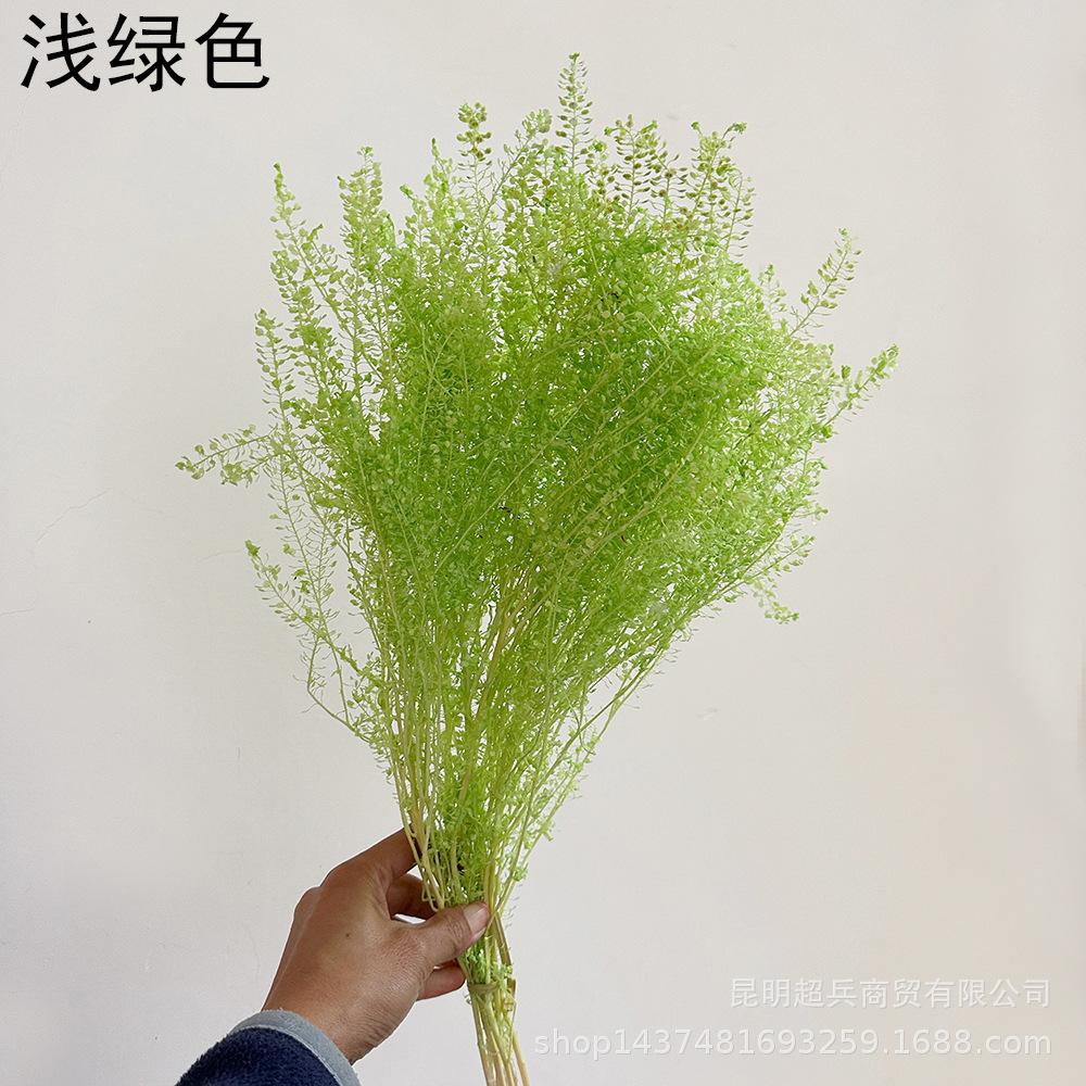 QQ图片20221213152639.jpg