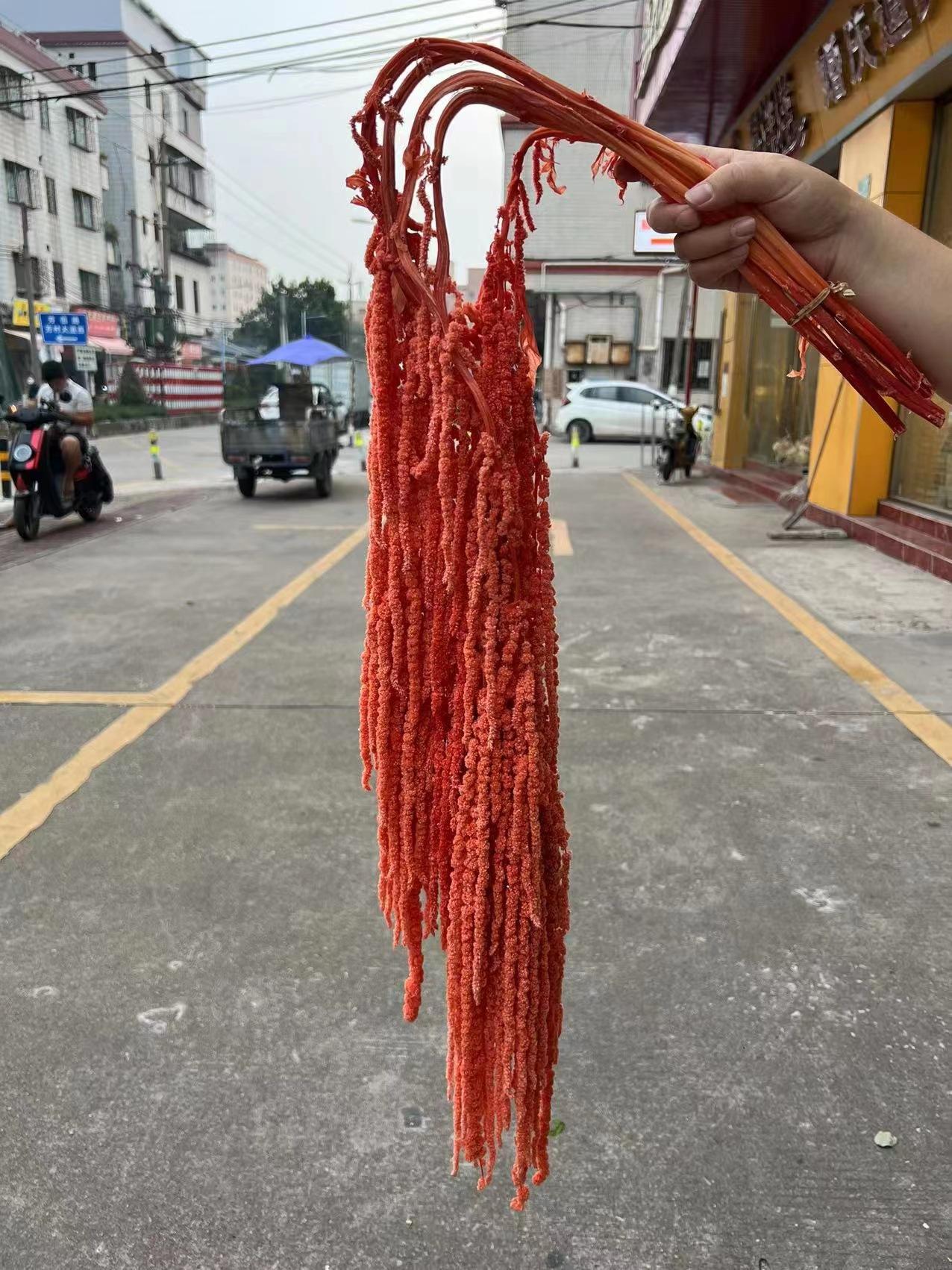 微信图片_20221127133546