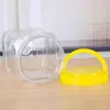Garrafa de mel de plástico para animais de estimação, garrafa espessa de 4 kg, grau alimentício, transparente, quadrada, tampa portátil, pote selado PET com tampa