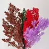 Venta al por mayor de Flores de Pino Inmortalizadas para Flores Secas Transfronterizas, Productos Florales DIY, Ramos, Decoración del Hogar, Arreglos Florales con Flores Reales, Yunnan
