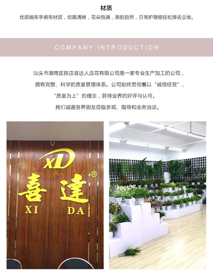 7头水珠中玫瑰_09