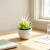 Venda Quente na Amazon Vaso Listrado Simulação de Pequena Planta de Aloe Vera em Vaso Criativo para Mesa de Escritório Suculenta de Plástico Planta Verde Bonsai