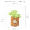 Amazon Planta Artificial Suculenta Imán de Corcho Imán de Refrigerador Decoración del Hogar Estilo Pastoral Suculenta Creativa Atracción Magnética