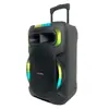 Altavoz de Karaoke Popular de Fabricante de 12 Pulgadas y 40W para Celebraciones Comunitarias, Karaoke Bluetooth con Micrófono