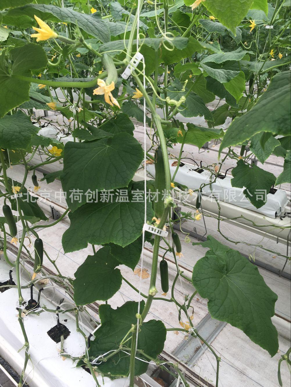 图片20160602151928