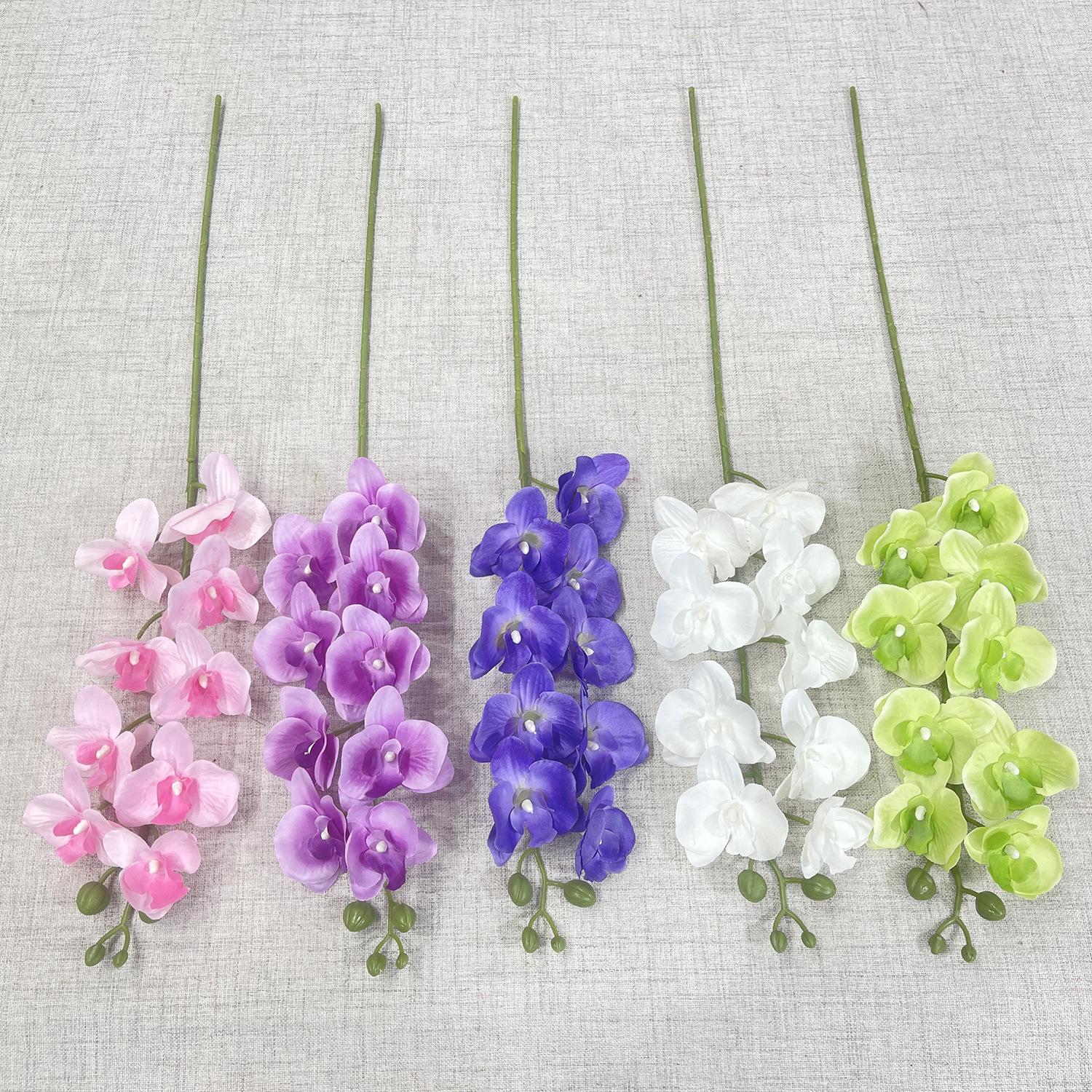 主图 林溪郡.JPG