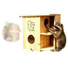 Casa de ardilla de madera transfronteriza, caja de cría de mascotas colgante para jardín exterior, nido de pájaro de madera maciza, caja colgante decorativa para jardín