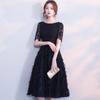 Vestido de Encaje de Comercio Exterior 2026 Estilo Nuevo Simple Aliexpress Fiesta de Cumpleaños Uso Diario Vestido Mini Fabricante Suministro