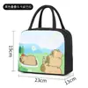 Bolsa de almoço infantil de desenho animado, bolsa de almoço portátil de grande capacidade, lancheira espessa, lancheira fofa para atividades ao ar livre para estudantes