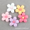 Pétalas de Pêssego Flor de Cerejeira DIY Gel Creme Capinha de Celular Material de Decoração Acessórios de Cabelo Adereços de Cabeça Grampo de Cabelo Flor DIY Calçados com Furo