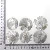Fábrica de flores plateadas, flores secas directas, serie negra en relieve, especímenes de plantas, hojas de flores reales, bolsa de material floral