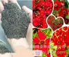 180 Variedades de Sementes de Flores Não Repetitivas, Fáceis de Cultivar em Todas as Estações, Podem Afastar Mosquitos, Adequadas para Varandas Internas e Externas, Distribuição Transfronteiriça
