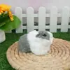 Modelo de Hamster Simulado Porquinho-da-Índia Porquinho-da-Índia Barraca Anel Adereços Presente de Aniversário Boneca de Pelúcia Feminina Adereços de Boneca