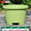 Vaso de resina baixo e espesso em formato de flor, vaso plástico grande respirável para plantas bulbosas, tulipas, lírios, amarílis e açafrão
